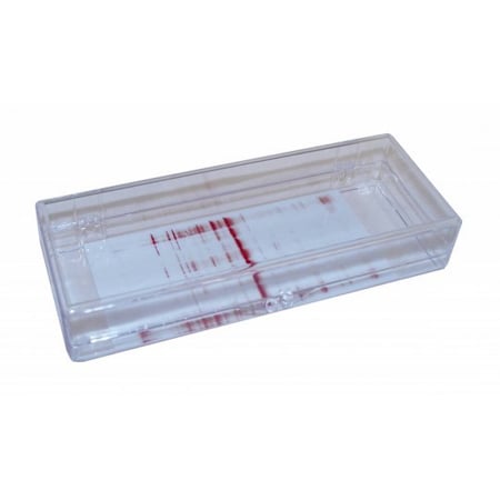 Gary Plastic Mini-Strip Blotting Box, 1 Lane, 15.2x5.7x2.5, 6/pk, 6PK 248779
